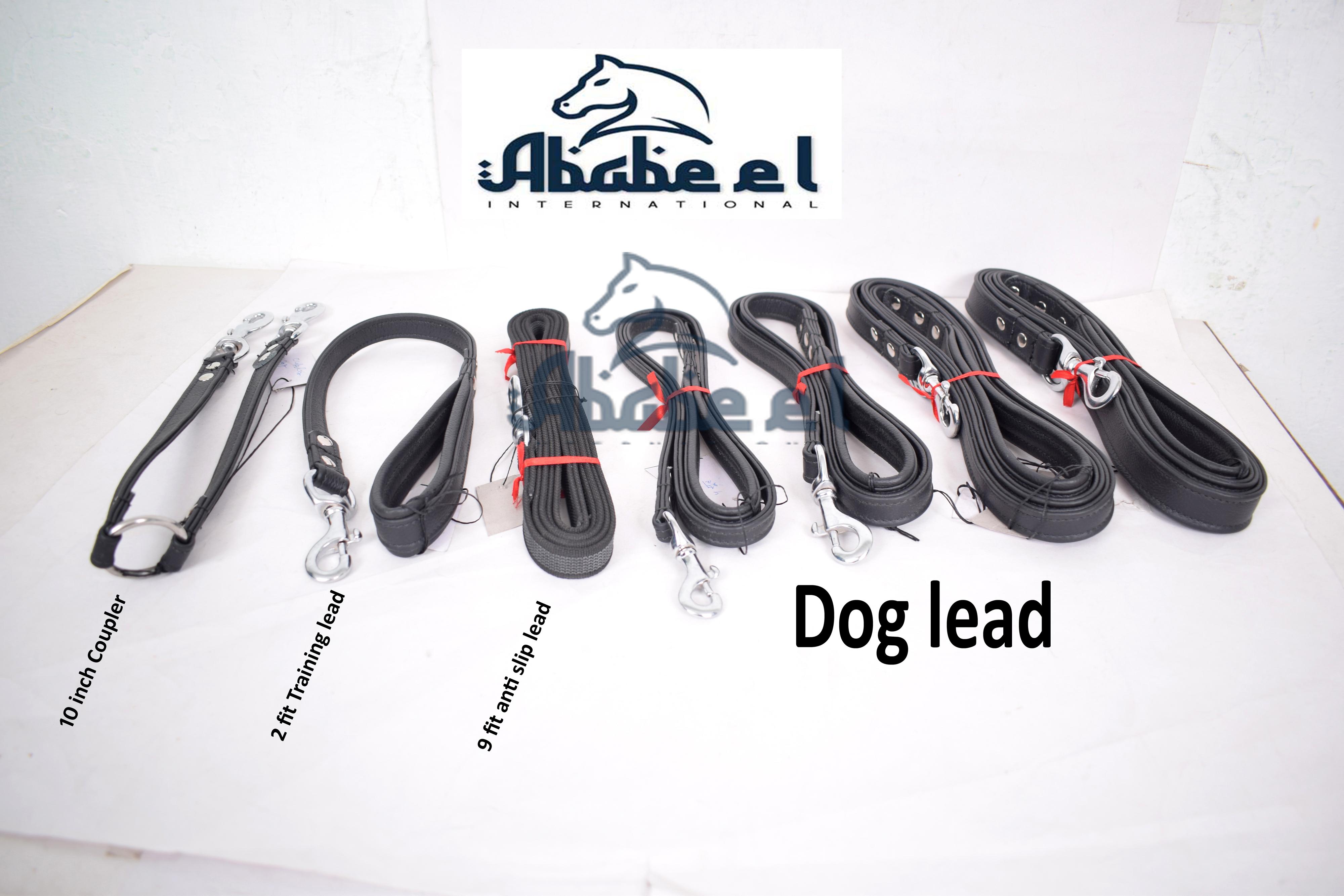 Dog Lead